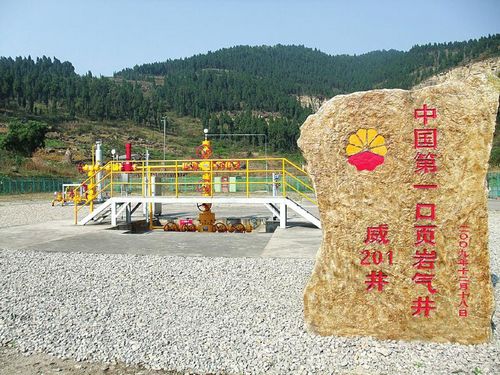參與完成中國第一口頁巖氣井的試用開發(fā)